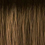 Instant Up & Down UD 024